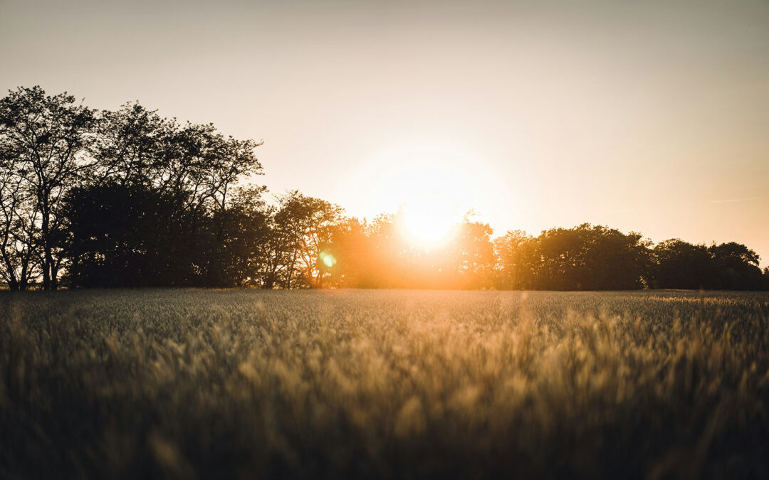 Qué hacer cuando fallece un ser querido | Funeraria Marbella