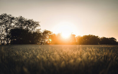 Qué hacer cuando fallece un ser querido | Funeraria Marbella